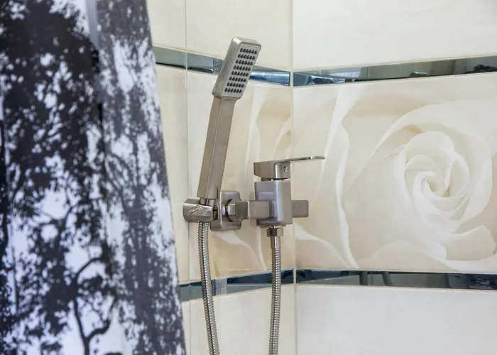 Near Dolphinarium Apartment Truskavets